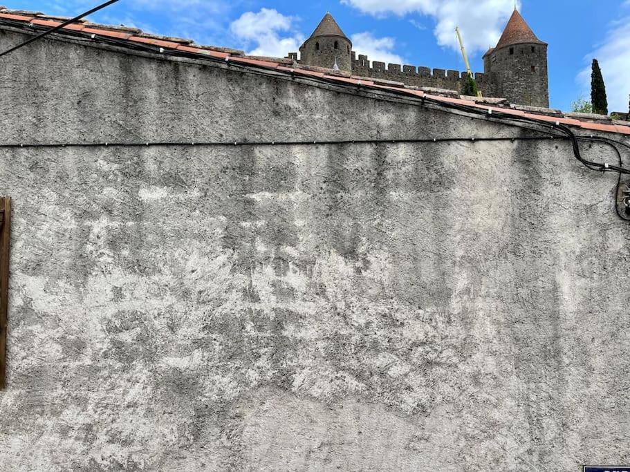 La Tour De Guet Villa Каркасон Екстериор снимка